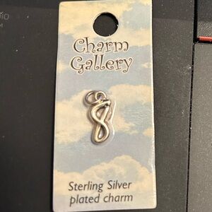 Charm Gallery Sterling Silver Plated Charm